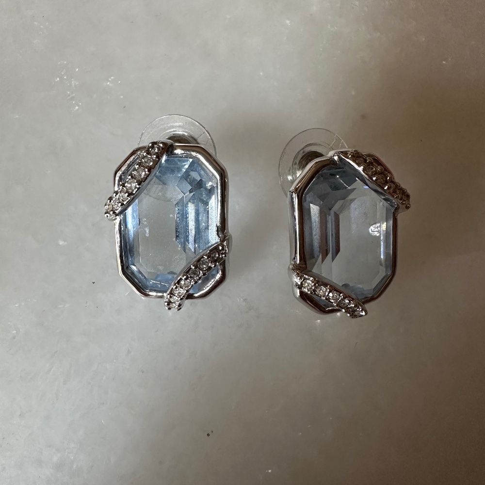 Stunning Earrings!
